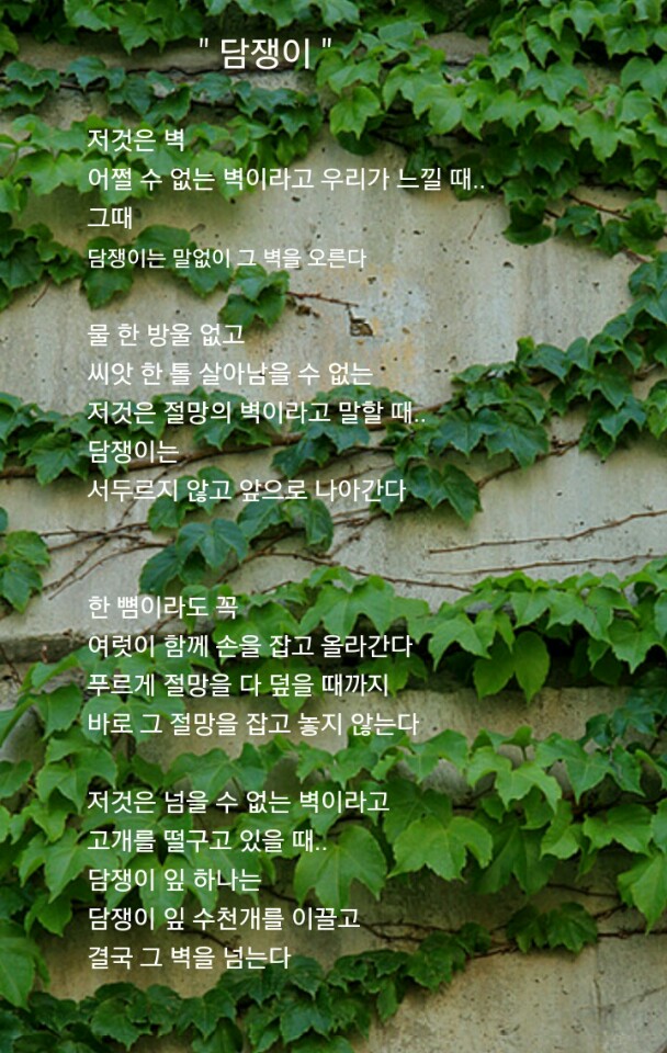 한국스피치평생교육원 이미지