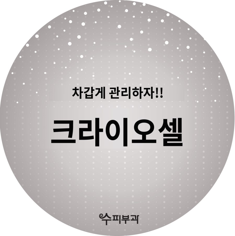 수피부과 이미지