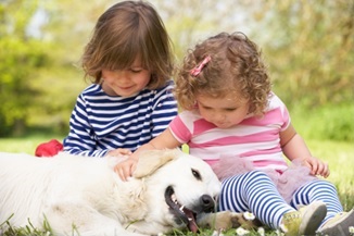 주식회사 에이티 이미지