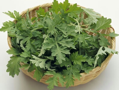카페시네올 이미지