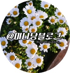 고고 리퍼블릭 이미지