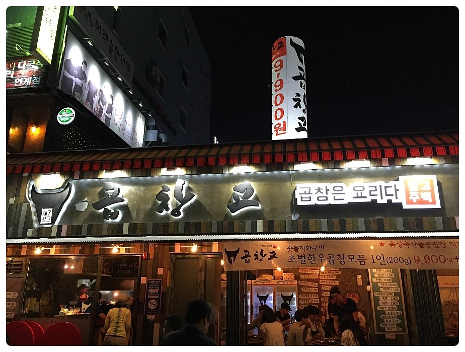 미스터오징어 이미지