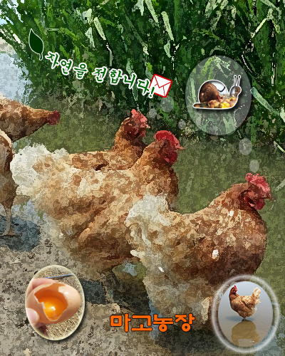 고대농협 하나로마트 이미지