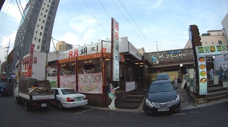 팔팔돼지(88돼지) 이미지