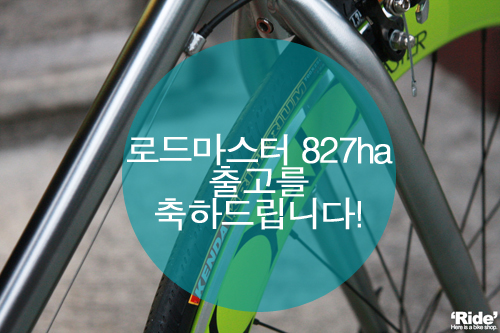 로드827 이미지