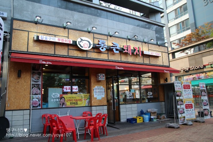 숯향기 이미지