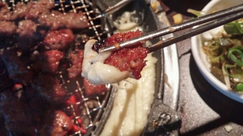 갈매기먹짱 이미지