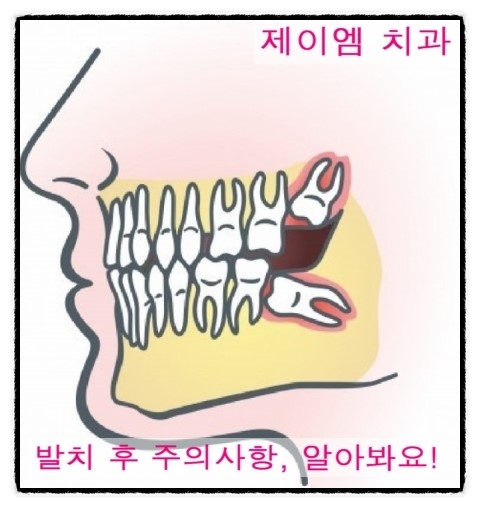 제이엠치과 이미지