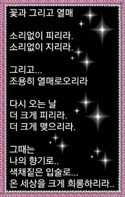 샤르망헤어아트 이미지