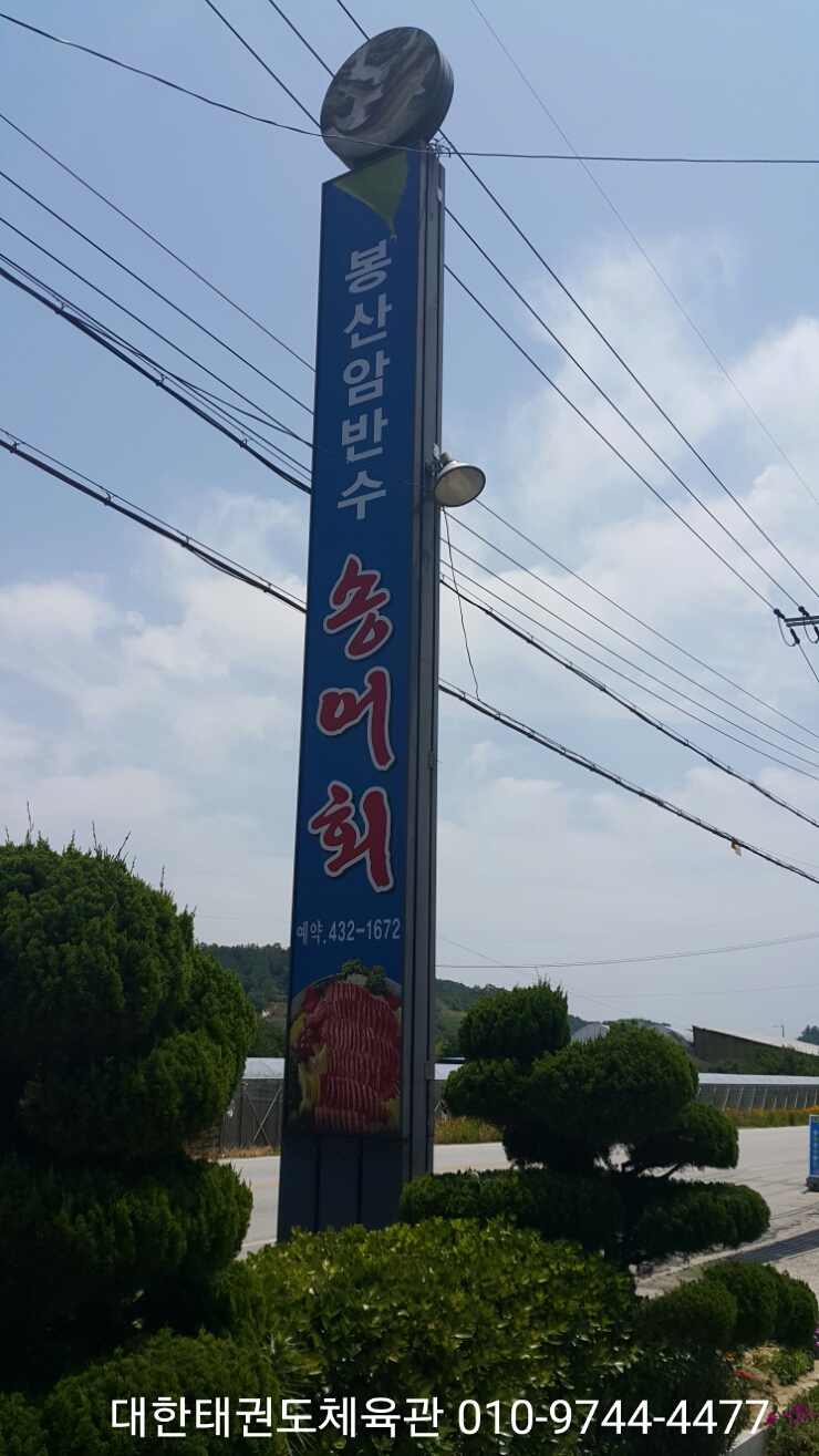 봉산암반수송어회 이미지