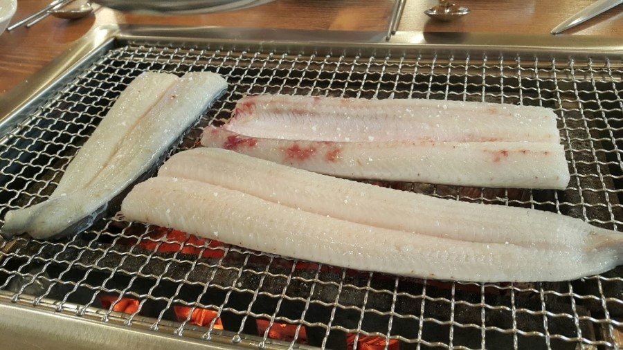 장수산풍천민물장어 이미지
