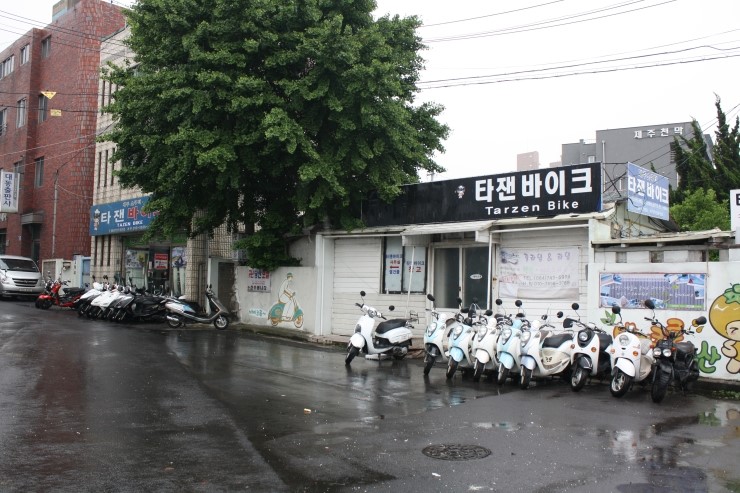 제주스쿠터타잰바이크 이미지