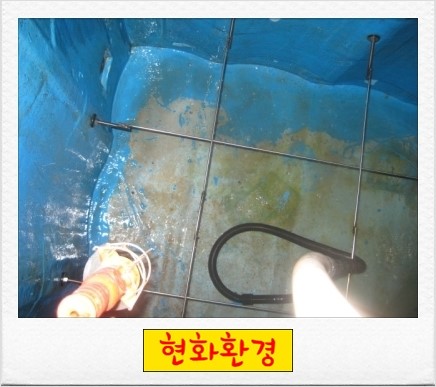 현화환경 이미지