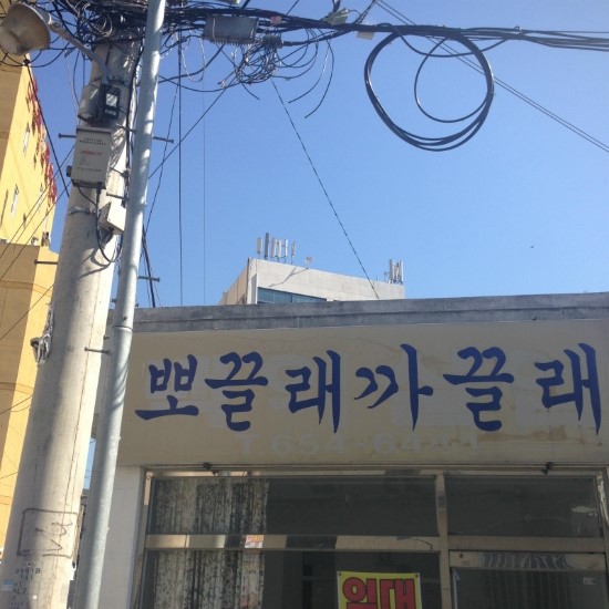 까끌래뽀글래 이미지