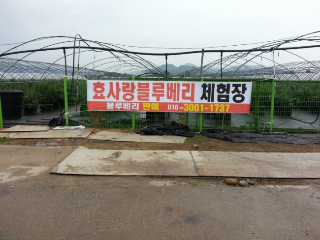 남평체험장 이미지