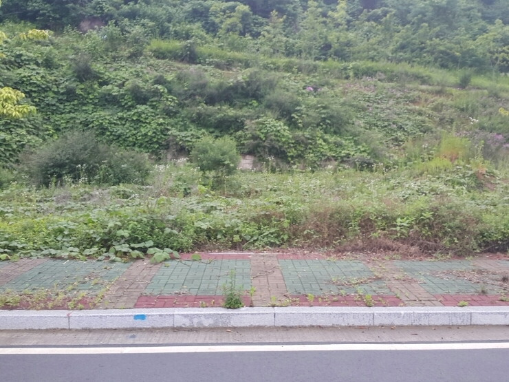 건축사사무소지오건축 이미지