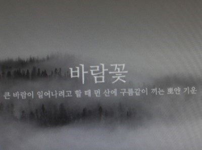 너울가지 이미지
