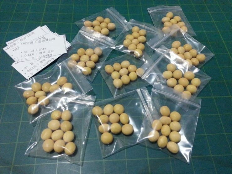 토종반찬 이미지