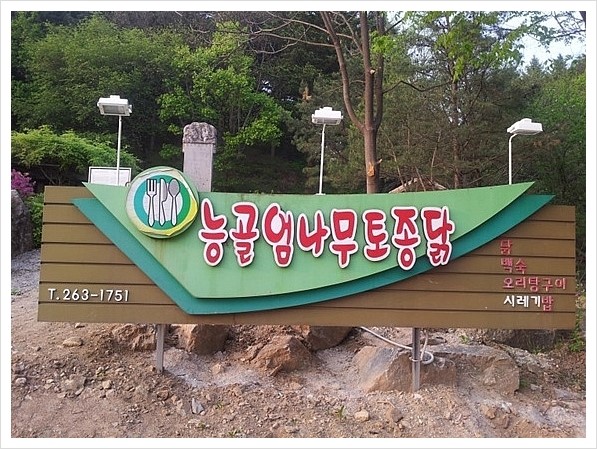 능골엄나무토종닭 이미지