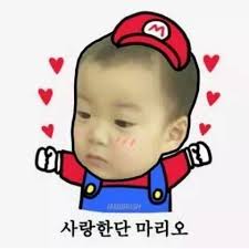 차가꿈 이미지