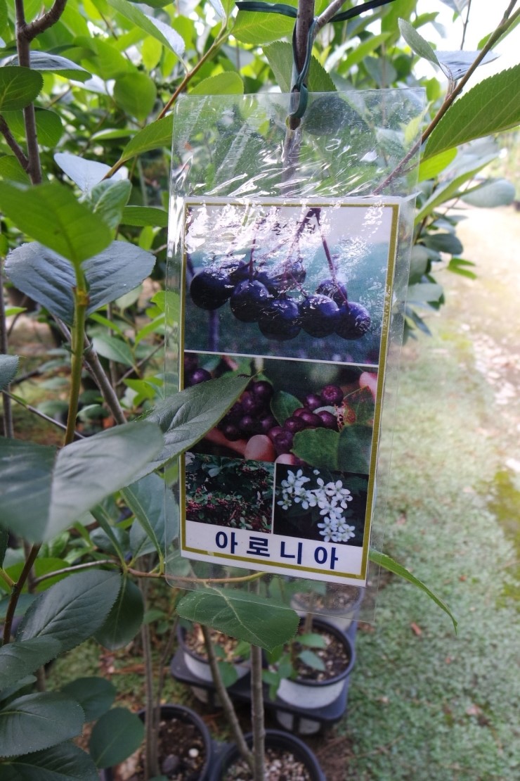 털보네식물원 이미지