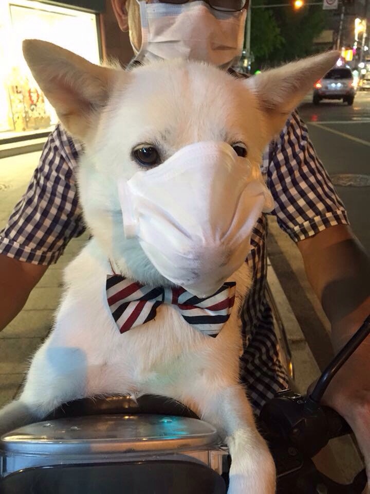 모이드모이드 이미지