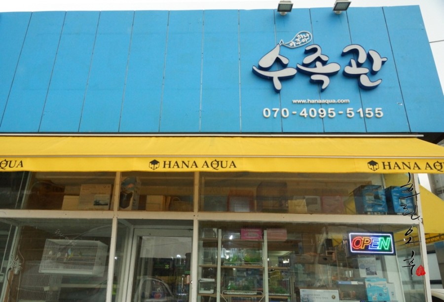 수초아쿠아 이미지