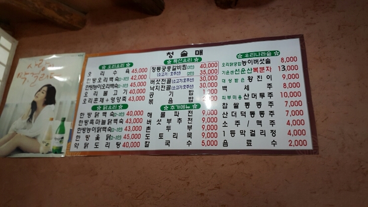청솔매 이미지