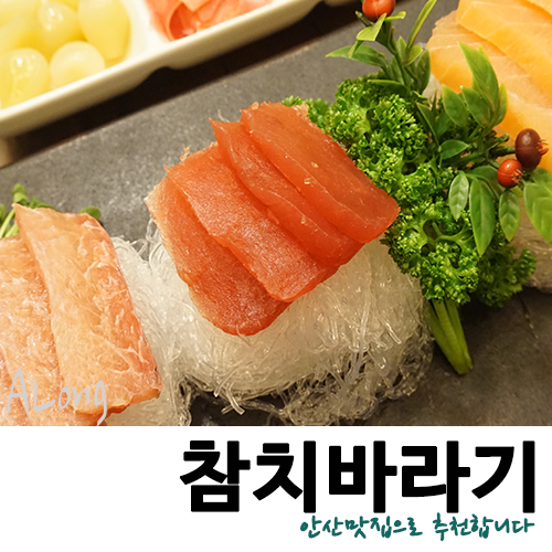 참치바라기 이미지