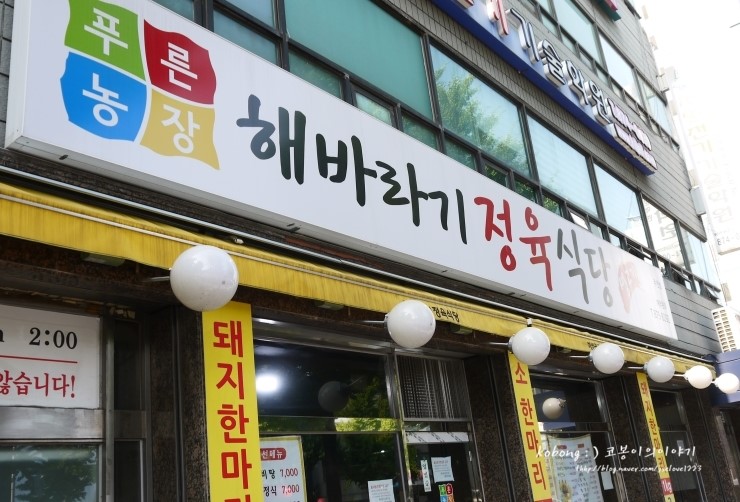 푸른농장해바라기 이미지