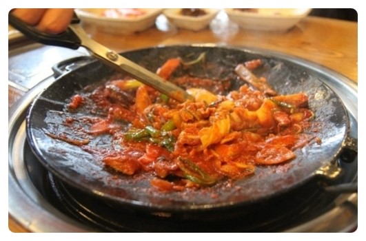 이바돔제주도야지 이미지