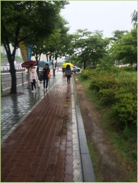 비스퀘어 이미지