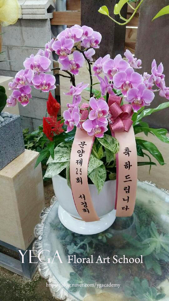 예가꽃예술원 이미지