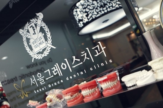 그레이스하랑 이미지