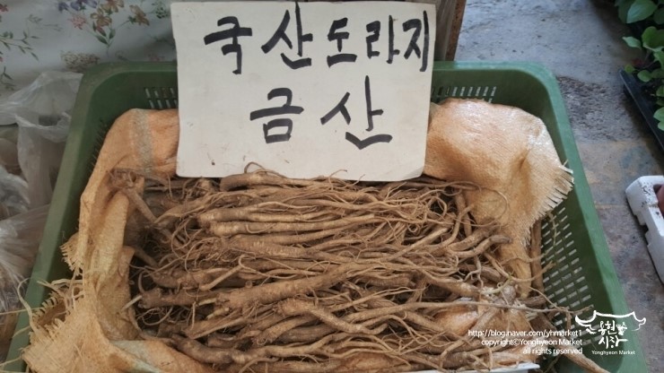 용현상회 이미지