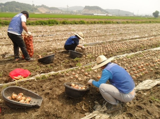 일꾼인력, 용역 이미지