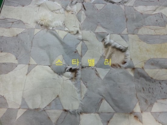 윤세탁 이미지