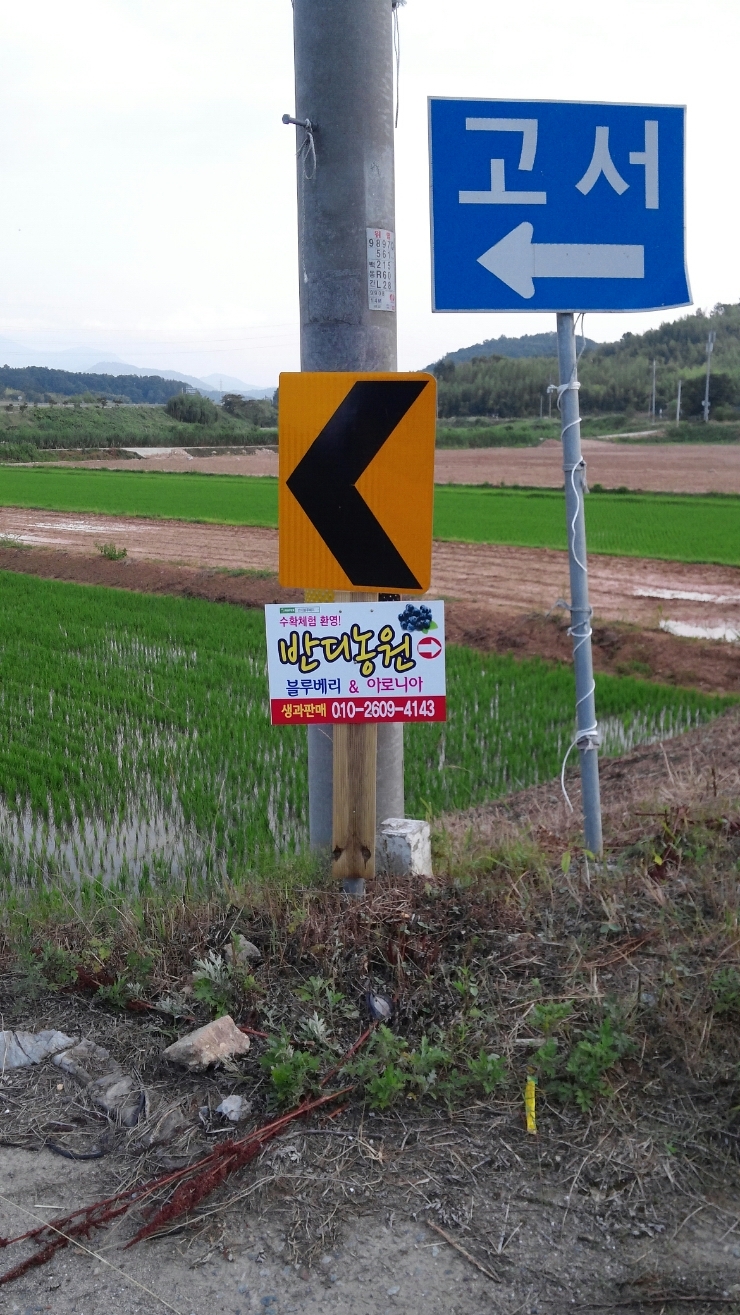 반디농원 이미지