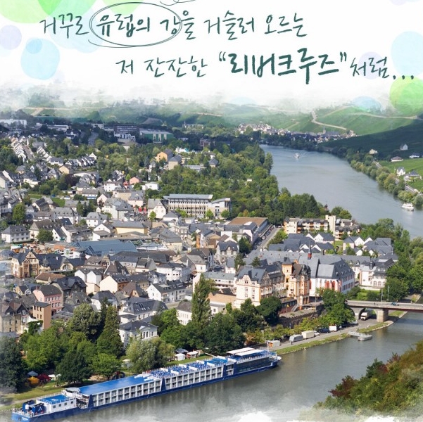 코스모닛시 이미지
