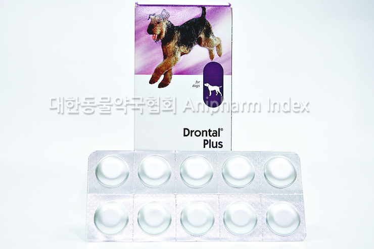 주식회사 바이엘 이미지