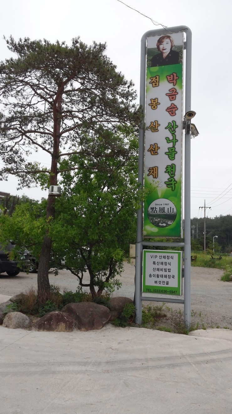 점봉산산채 이미지