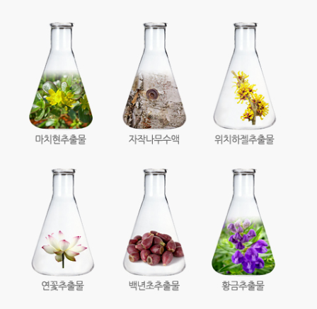 피스티오 이미지