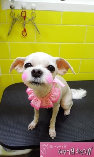 부흥미용실 이미지