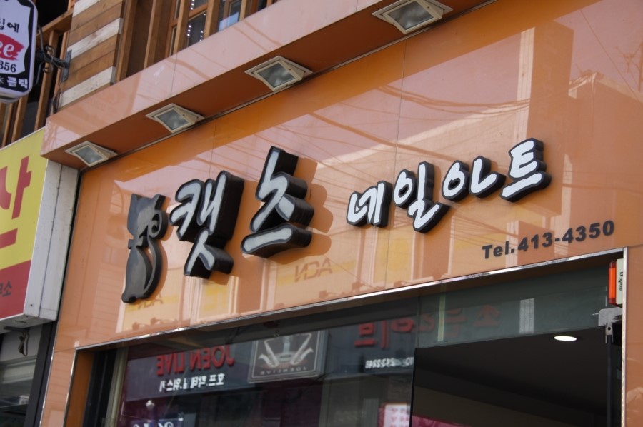 캣츠네일 이미지
