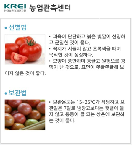 토마토푸드 이미지