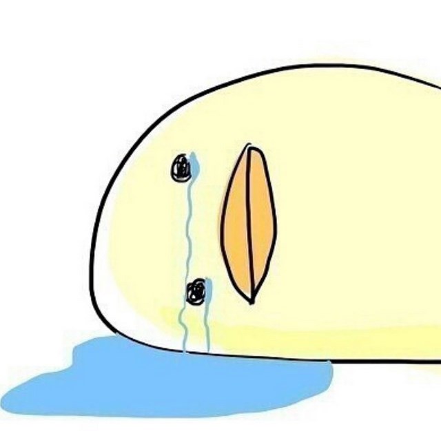신발신고 이미지