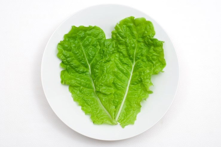 리안성형외과 이미지