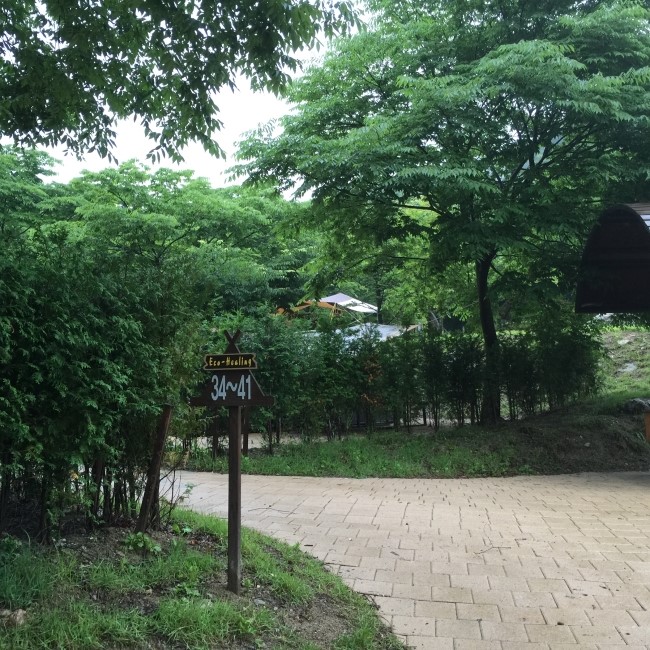 쿠 야영장 이미지