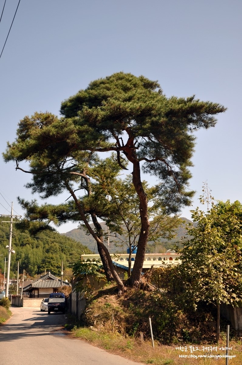 월천권역 이미지