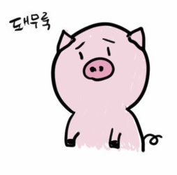 매드짐 이미지